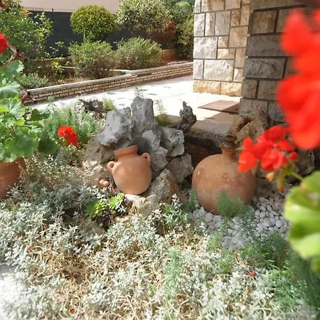 鹦鹉公寓 * 普拉